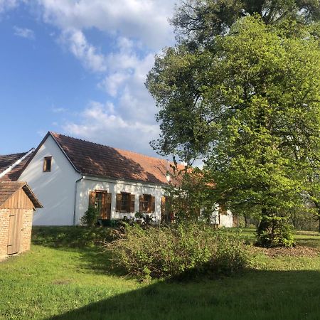 Appartement Sonnenhof à Limbach im Burgenland Extérieur photo