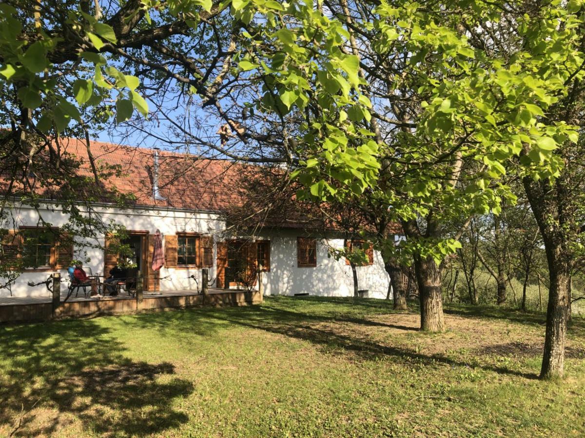 Appartement Sonnenhof à Limbach im Burgenland Extérieur photo