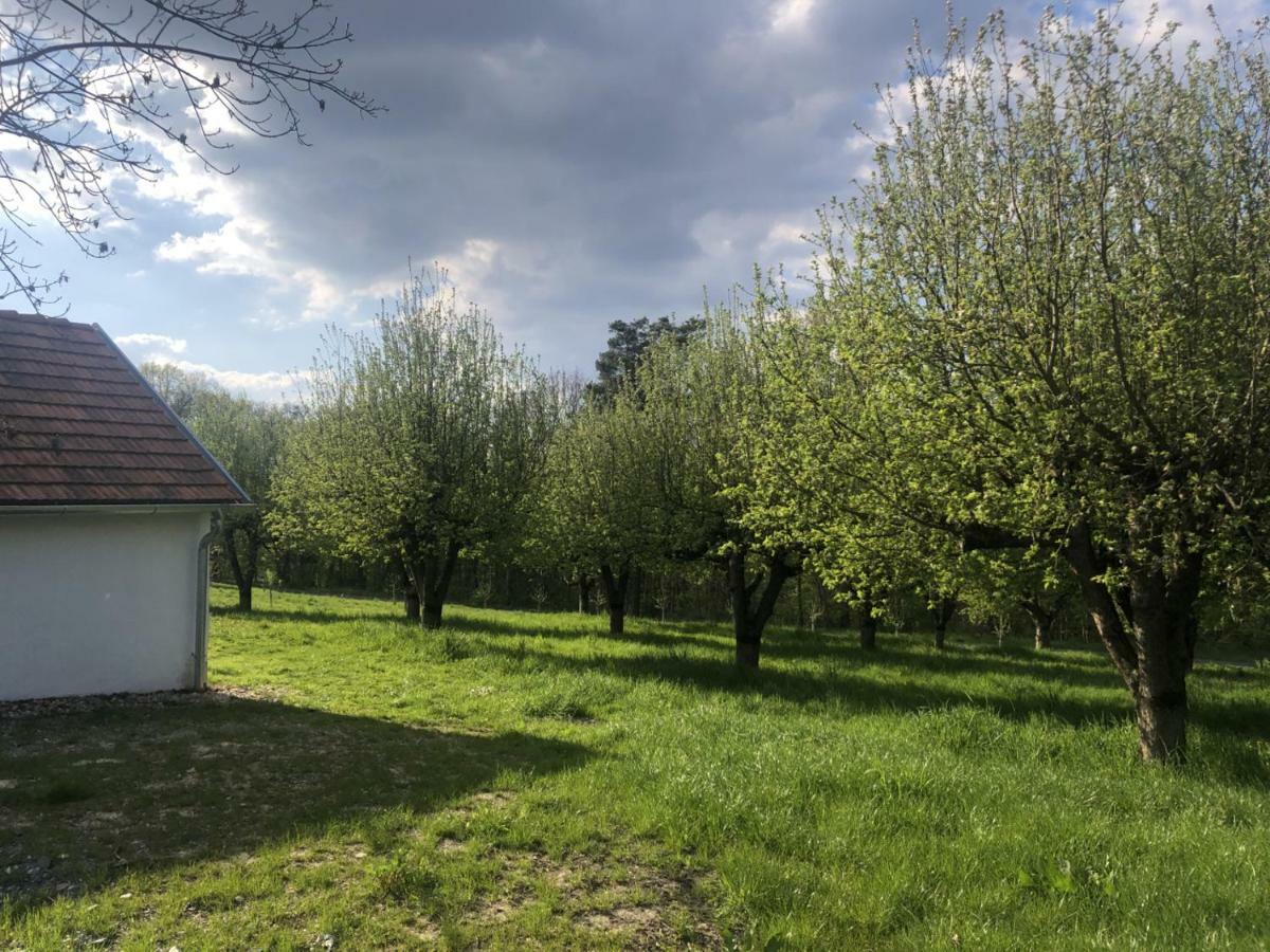 Appartement Sonnenhof à Limbach im Burgenland Extérieur photo