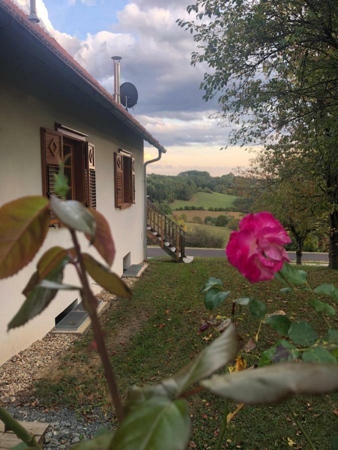 Appartement Sonnenhof à Limbach im Burgenland Extérieur photo